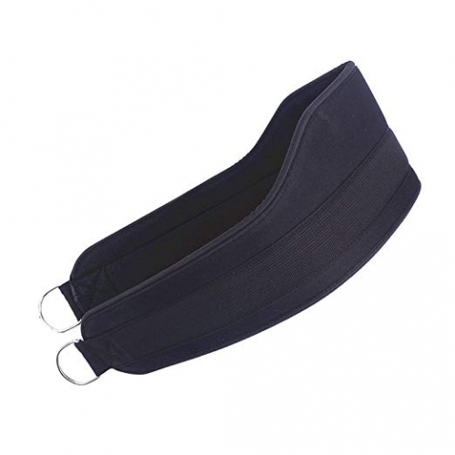 dipping20belt202-1_407_p_2.jpg Custom Dipping Belt