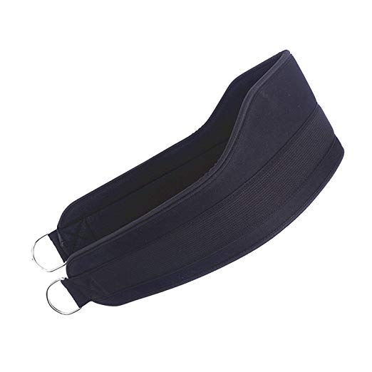 dipping20belt202-1_407_p_3.jpg Custom Dipping Belt
