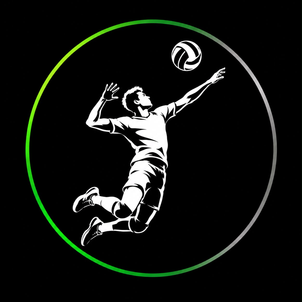 Volleyball